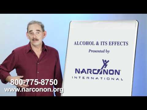 Alcohol Effects on the Body and Liver