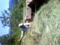 videos de cangas la yerba.3gp