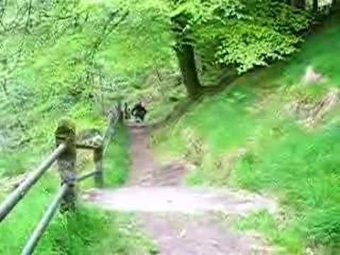 Andrew on the steps at Glencree