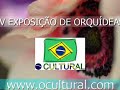 Clipe da Exposição de Orquídeas - 27/05/2007 - www.ocultural.com