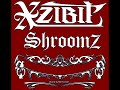 Xzibit - Shroomz