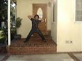 stupid dance compilation / My Diet Pill - Cockroach Blues
