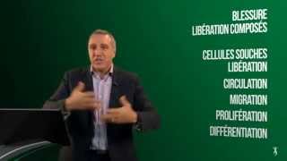 Découvrez Stemtech et les bienfaits de la libération des cellules souches adultes