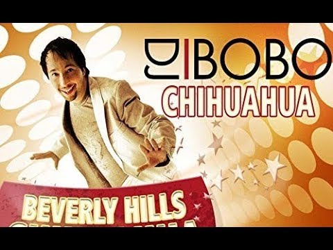 dj bobo