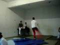 Coelho 2008 -Capoeira Liberdade Camará