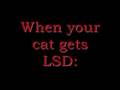 What happens when animals break into your drug cupboard