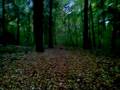 13022008(001).mp4
