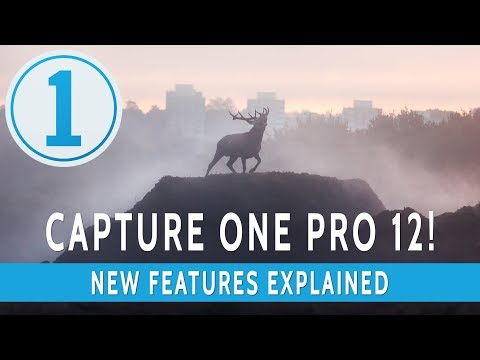 All The New Features In Capture One Pro 12!