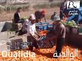 club des amies de cyclisme meknes club des amies de cyclisme meknes