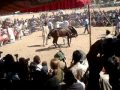 Pushkar Camel Fair - 2008