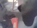 Daily Sock Report, Thursday 07 June 2007