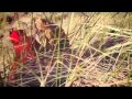 A Lull Weapons For War Video and Lyrics