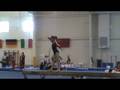 videos de WOGA Meet Beam-scored 8.0