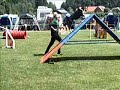 DVM 2008, 2. Lauf Borken DVM 2008, 2. Lauf Borken