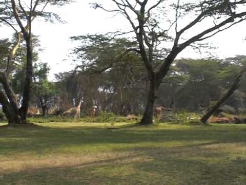 Lake Naivasha Sopa R..