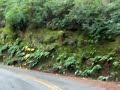 Mt. Tamalpais Cycling - 3 - Bolinas Fairfax Rd