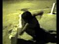 videos de show de rua!