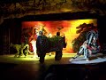 The Lion King opening. Me as Rafiki The Lion King opening. Me as Rafiki