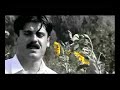 Halparke Kurdi ( Kcha Kurda Chand Nazdari ) Halparke Kurdi ( Kcha Kurda Chand Nazdari )