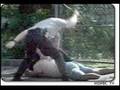 Police Abuse Reaching Epidemic Level HTS 030108 p3