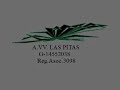 solución paisajística de las pitas