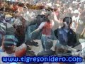 tigre sonidero  la merced  siboney  2