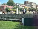 Don short clip Don short clip
