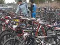 masiva participaci�n en el ix duatl�n de alc�zar de san juan
adem�s de ser la primera prueba puntuable del circuito regional tambi�n era campeonato de castilla-la mancha 
fran llorente - alc�zar de san juan - 05/02/2008 

 
vota resultado  1 votos  
�xito de participaci�n en el ix duatl�n cros de alc�zar de san juan celebrado el s�bado 2 de febrero de 2008, que adem�s de ser la primera prueba puntuable del circuito regional tambi�n era campeonato de castilla-la mancha.

la noticia en otros webs
webs en espa�ol 
en otros idiomas 
la ma�ana fue el turno de los m�s j�venes. se dieron cita m�s de 50 participantes, de diversas categor�as. todos disfrutaron de este deporte y dieron lo mejor de si mismos, a pesar de la lluvia que les acompa�� durante toda la ma�ana.

a las 16:00 h, comenzaba la prueba �lite. el presidente del club triatl�n alc�zar, javier rivas, entregaba una placa a santiago arn�s ram�rez, el puertollanense del equipo triatl�n axarqu�a, homenajeado en esta edici�n del duatl�n cros de alcazare�o, por sus numerosas victorias en este duatl�n, siendo el duatleta castellano-manchego que m�s triunfos ha conseguido en campeonatos de espa�a y copas de espa�a de duatl�n y duatl�n cros, as� como campe�n del mundo y europa de gren cup.

el homenajeado se alz� con el triunfo, en una carrera donde dio opciones a sus rivales en los primeros metros de la carrera a pie, agrup�ndose varios de los favoritos a los primeros puestos, entre ellos el duatleta local agust�n pacheco. al llegar a boxes para coger las bicis y desarrollar los 20 km en la parte m�s dura, santiago arn�s, daniel plaza y carlos lancha, estos dos �ltimos del brickoblock-esproten, sacaban algunos metros y se escapaban del resto de sus perseguidores. luego solo se quedaba arn�s y plaza, y en la �ltima vuelta al circuito de bici, se destacaba arn�s, al imponer un ritmo con el que nada pudo hacer el joven plaza.

la �ltima transici�n a pie fue un paseo para arn�s demostrando que es 