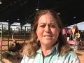 South Texas State Fair Champion Longhorns