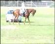Sandy winning Warrnambool ODE 2007