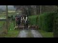 Bray Harriers - Hunting in Ireland
