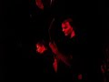 Necrophagist - Seven Necrophagist - Seven