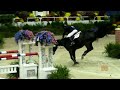 Brazil, and it stimied his countryman Rodrigo Pessoa along with other veterans of show jumping like McLain Ward and Margie Engle. This left only three to compete in the jump-off for the $100000 prize. The winner was Todd Minikus with Alaska, followed by Kate Levy with Lirving du Volsin, and Mario DesLauriers and Vicomte D. I'd love to know that song at the beginning. ... horse show jumping washington international WIHS 2009 Todd Minikus Alaska Kate Levy Lirving du Volsin Mario DesLauriers ...