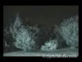 Ghosts, Spirits, & Demons 3 (Things that go bump in the night)