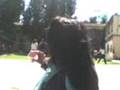 dejate de joder cn el espejo joha!