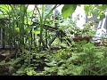 Garden Railways - AKIGASE Light Railway - 2