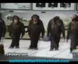 horon show