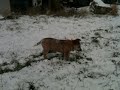 Boomer zieht ein :-)