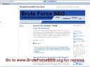 Brute Force SEO Domination 3 (techniques)