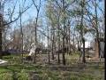 videos de Oak Island - Hurriance Ike - Part1