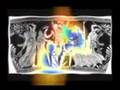 Robert Anton Wilson 9b: Circuits 5-8