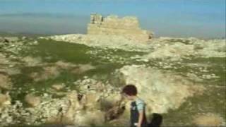 Tracing all that remains of the destroyed villages ethnic cleansed Umm-al-Shuqaf, Palestine