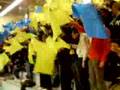 palamico gialloblu