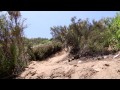 tech video
