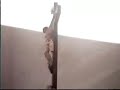 cavaleiros consagrados   filho pródigo