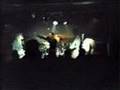 my wall, the kelpies live at mosman hotel 1985