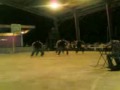 maasin city beat boyz