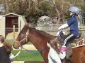 Kory riding Quizzle
