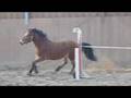 horse ranch ekine