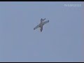 L-29 Almost crashed L-29 Almost crashed